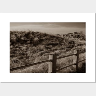 Dunes on The Beach Posters and Art